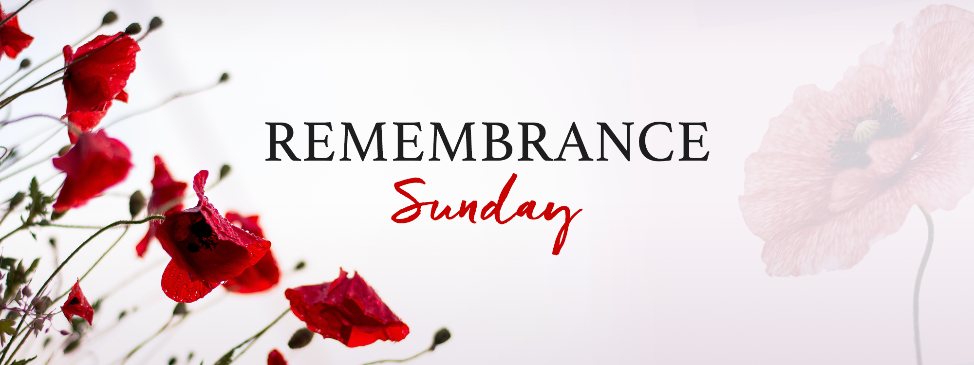 Remembrance Day banner